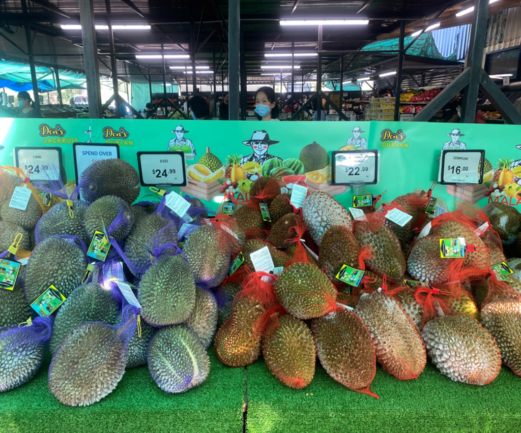 big-watermelon-australia1