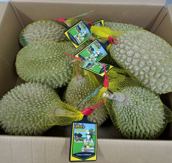 Durian